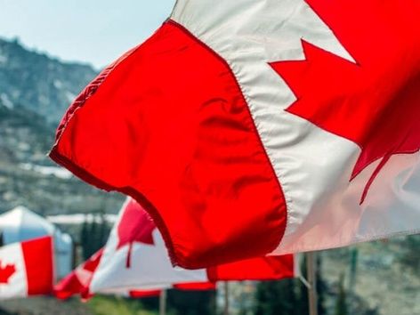 Work in Canada for CUAET holders: rules and features, where to look for jobs